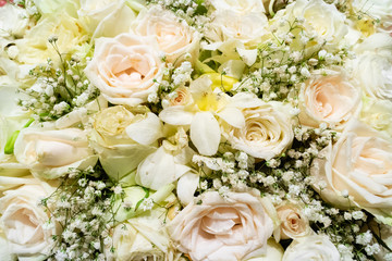 bunch of varities flower, beautifull blossom and blooming