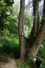 Vogelhäuschen im Wald