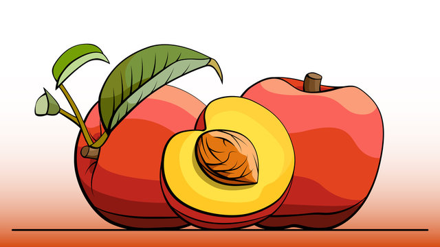 Vector illustration of fruit peaches on line.