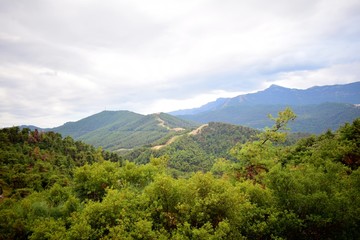 Fototapeta premium Thassos