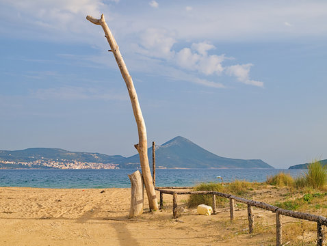 Sandy beach, bare tree trunks and wooden fence, Gialova, Peloponnese Greece. Plastic trash on the beach.