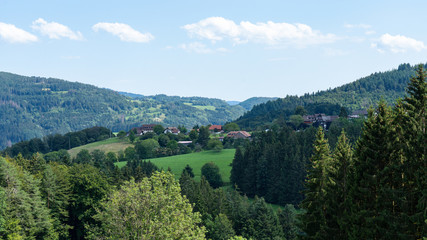 Fototapeta na wymiar Schwarzwald Landschaft