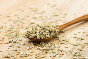 Fennel seeds in a wooden spoon