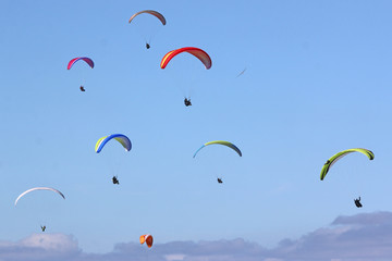 Paragliders flying wings in a blue sky