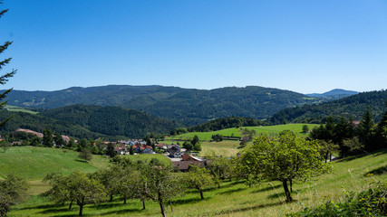 Obstanbau im Schwarzwald
