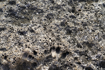 Rocky seashore, limestone, shell rock, texture