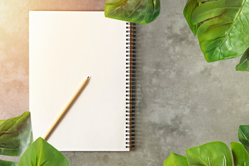 blank sketchbook and green leaves