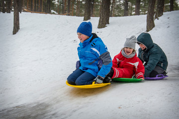 Fototapeta na wymiar In winter, in the forest, children slide down the hill on plastic plates.