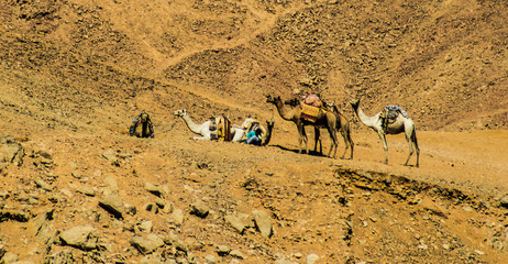 Rocky mountain scenery, Dolomites, Italy