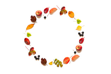Colorful Autumn leaves,berries and apples frame on the white background. Harvest concept flat lay. Copy space
