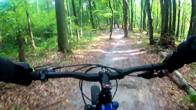 MTB bicycle riding on the trail in the summer season.