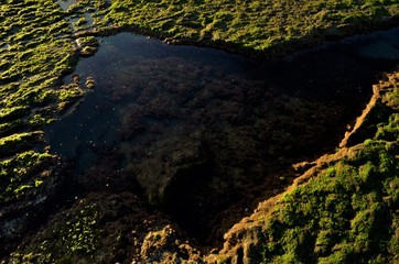 Sea pool