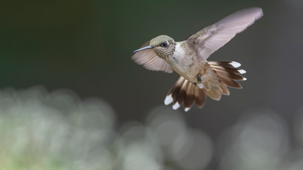 Coming in for a Closer Look