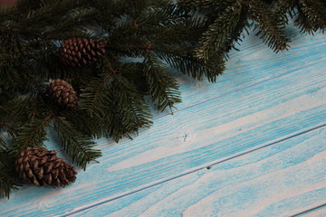 Spruce branches with cones on a blue wooden background.