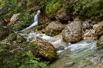 Naklejka na ściany i meble Fast river near forest in Bucegi mountains, Romania