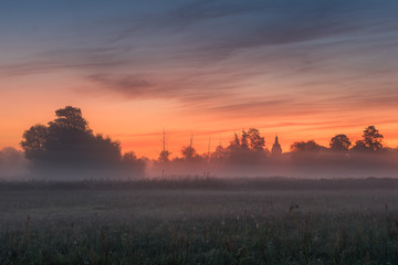 Foggy morning on a meadow near Piaseczno