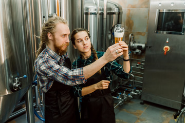 Brewery workers looking at freshly made beer in glass tube and discussing it. Male and female...