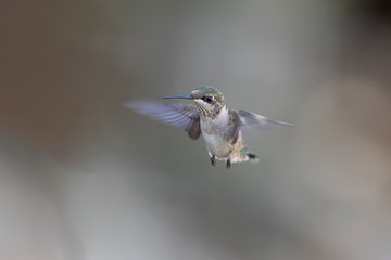 Staying in the Shade