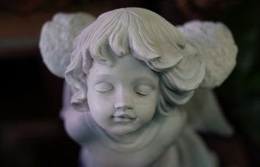 Many terracotta basins in the retail store