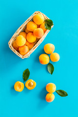 Fresh raw apricots in basket on blue background top view copy space pattern with leaves