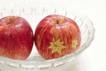 絵入りリンゴ（Picture apple）