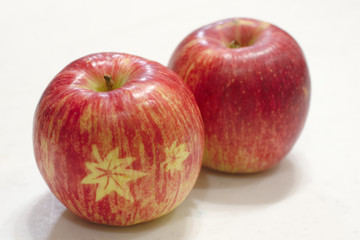 絵入りリンゴ（Picture apple）