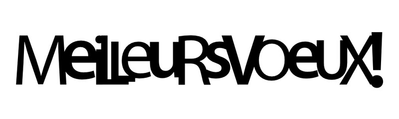 Typographie vecteur MEILLEURS VOEUX!