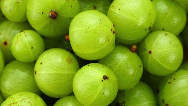 panning fresh Indian gooseberry  top view