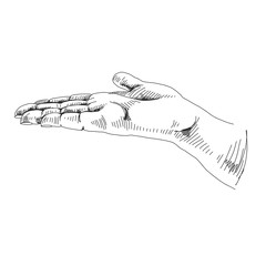 Vector hand drawn hand gestures Illustration. Detailed retro style image.