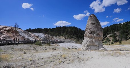 Yellowstone National Park geyser basin steam. Geothermal ecosystem environment. Largest super volcano on the continent. Biology geography and ecology. Millions of tourist.