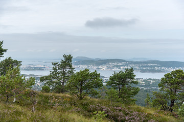 Fototapeta na wymiar Blick vom Høgkuppen bei Ålesund auf die Scheerenlandschaft norwegens