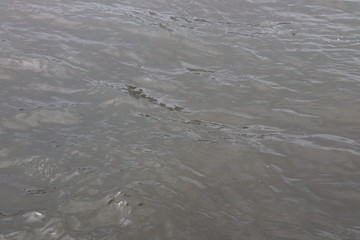 water on beach