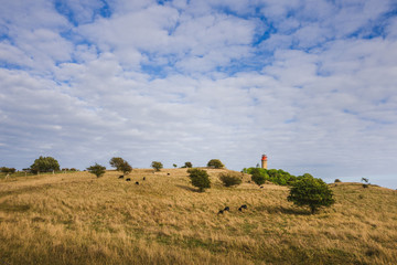 Obraz premium Landschaft Insel Rügen Kap Arkona