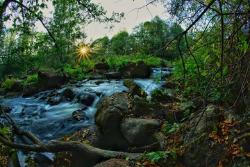 Sun peaking through foliage