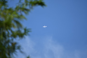 An Airplane Flying On Blue Sky