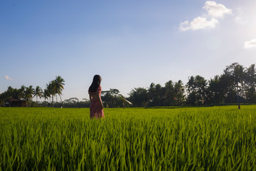  natural lifestyle portrait of young beautiful and happy Asian Chinese woman in elegant Summer dress walking carefree and relaxed at fresh tropical rice field enjoying