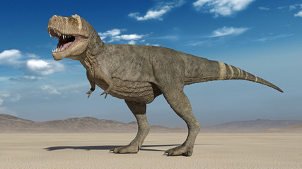 T-Rex Dinosaur, Tyrannosaurus Rex reptile roaring in desert, prehistoric Jurassic animal in deserted nature environment, 3D illustration - 290074141