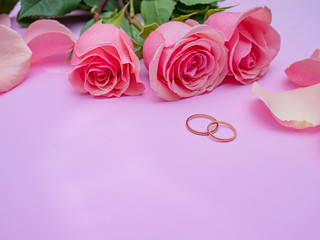 Wedding concept. Beautiful pink rose on pink background with two wedding rings.