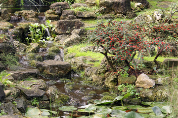 Fototapeta na wymiar a Japanese garden with water and plants