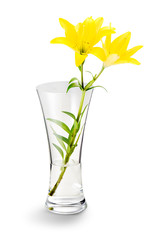 Transparent flower vase, with yellow lilies on a white background. Perfect for home decoration or for a gift.