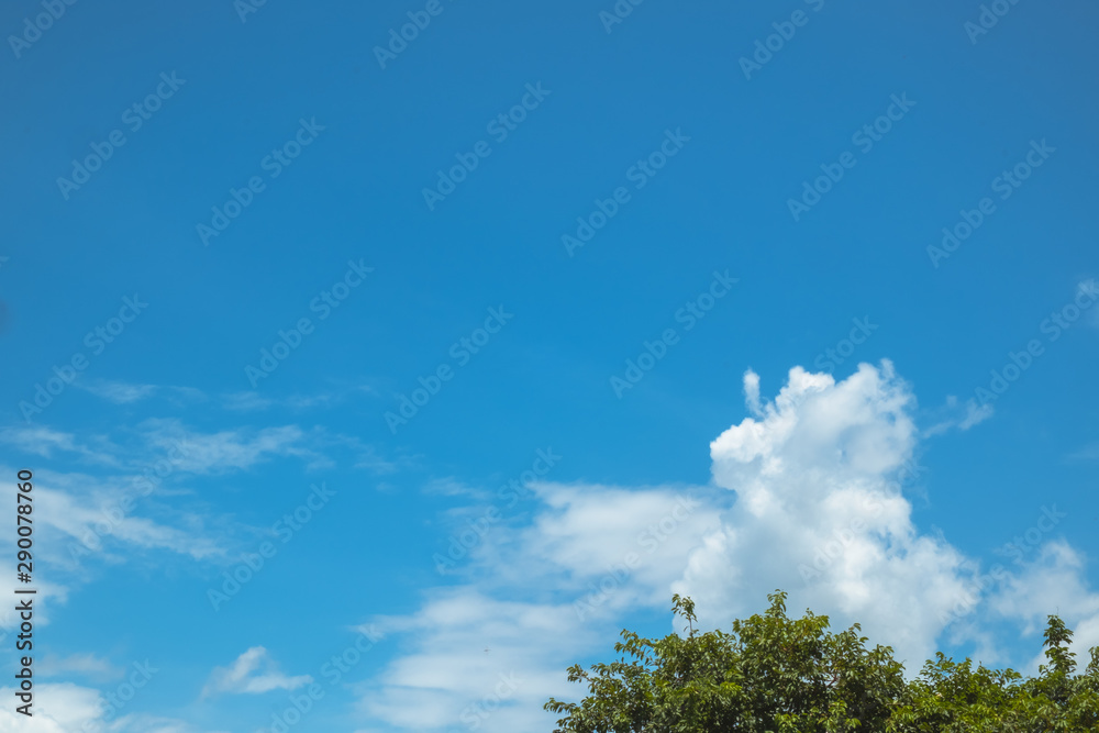 Poster blue sky cloud and tree top