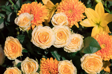 background of different beautiful flowers