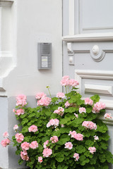 Entrance with pink flowers and intercom