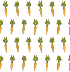 Vector seamless pattern of orange hand drawn sketch carrot isolated on white background