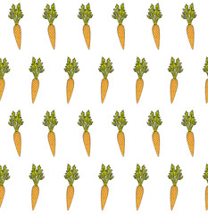 Vector seamless pattern of orange hand drawn sketch carrot isolated on white background