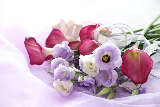ワインレッドのカラーと薄紫のトルコキキョウの花束 Stock Photo Adobe Stock