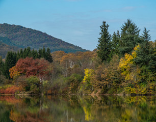 Fototapeta na wymiar Autumn trees around lake 