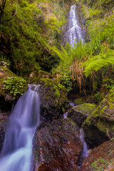 Belaustegui forest waterfall, in Alava, Basque Country