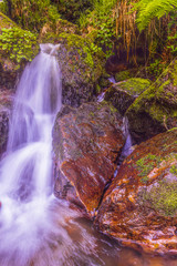 Belaustegui forest waterfall, in Alava, Basque Country