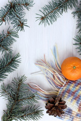 Evergreen sprig of spruce with pine cone and scarf with mandarin on a light wooden surface top view. Christmas background with place for an inscription